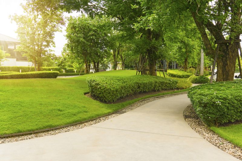 Walkway Replacement in Denver, CO